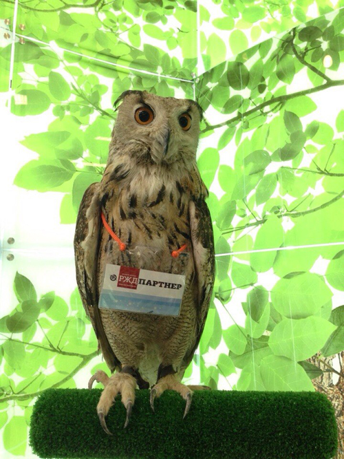 Международная выставка по транспорту и логистике &laquo;ТрансРоссия&raquo;